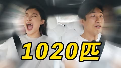 图书馆员:圣杯的诅咒