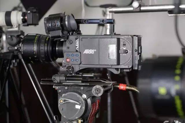 切斯纳特：中央公园的英雄