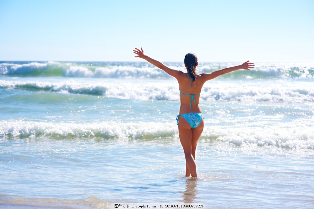 切斯纳特：中央公园的英雄