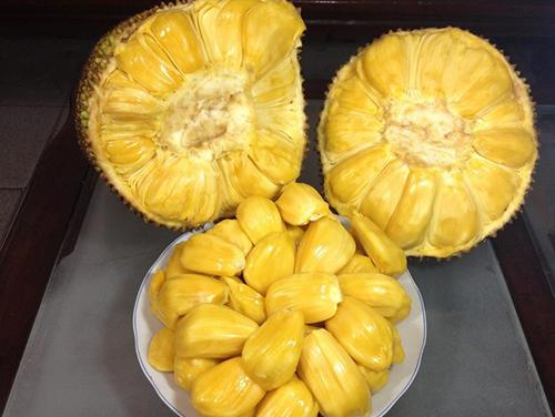 初缠恋后的2人世界