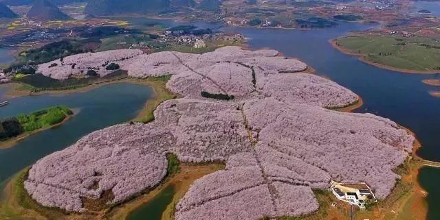 刺客荣耀·荆轲