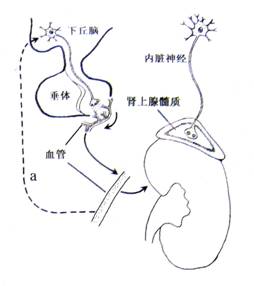 十全九美之真爱无双