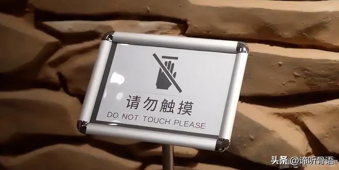 分歧者3：忠诚世界（国语版）