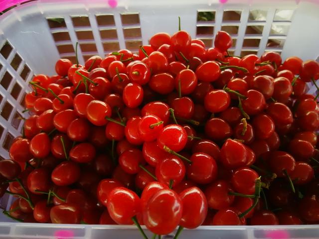 十四天之暖春来