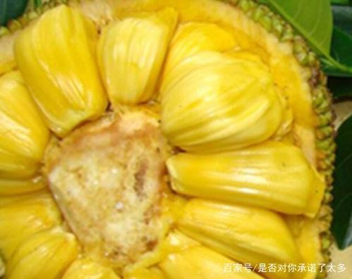 名侦探柯南：漆黑的追踪者